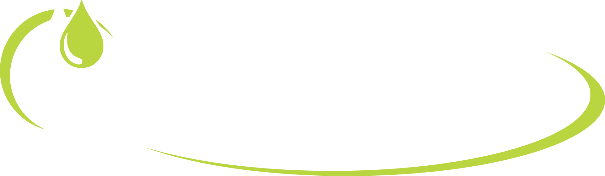 Direta Saneantes